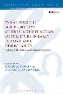 'What Does the Scripture Say?' Studies in the Function of Scripture in Early Judaism and Christianity, Volume 2: Volume 2: The Letters and Liturgical Traditions