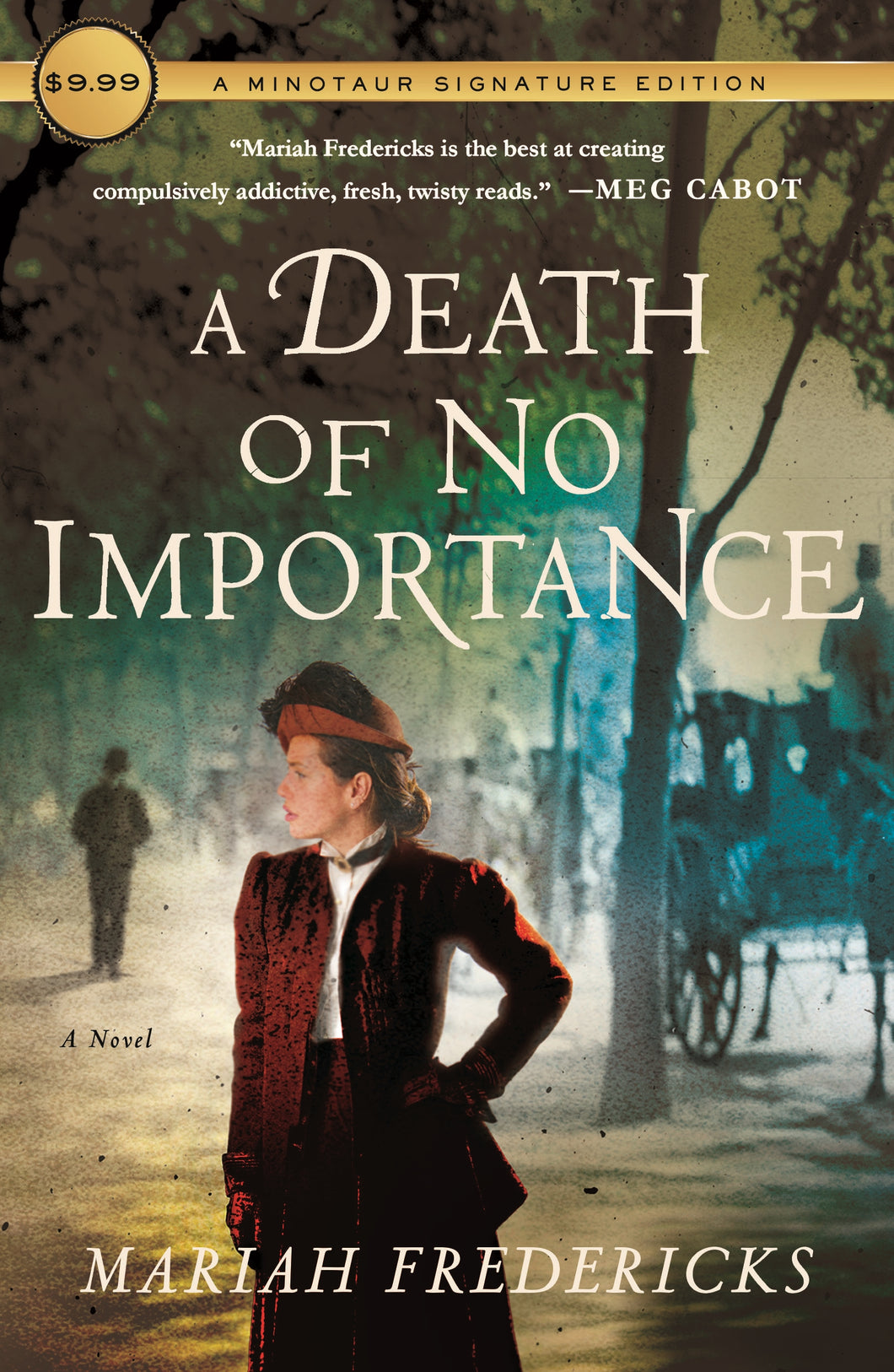 A Death of No Importance: A Novel