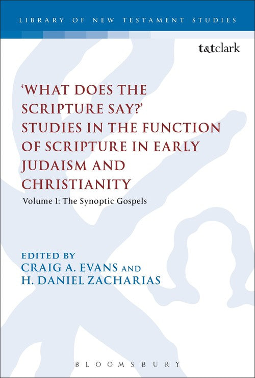 'What Does the Scripture Say?' Studies in the Function of Scripture in Early Judaism and Christianity, Volume 1: Volume 1: The Synoptic Gospels