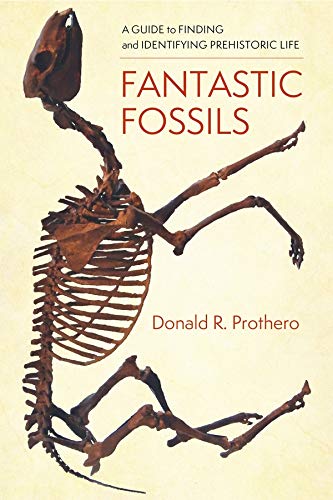 Fantastic Fossils: A Guide to Finding and Identifying Prehistoric Life