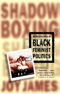 Shadowboxing: Representations of Black Feminist Politics (1999)