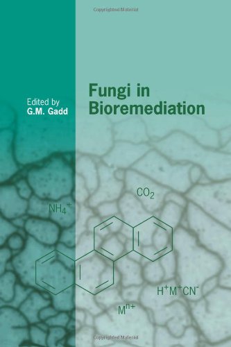 Fungi in Bioremediation