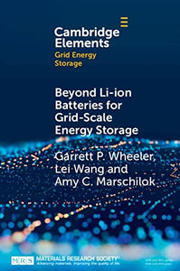 Beyond Li-Ion Batteries for Grid-Scale Energy Storage