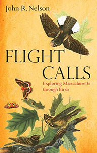 Flight Calls: Exploring Massachusetts Through Birds